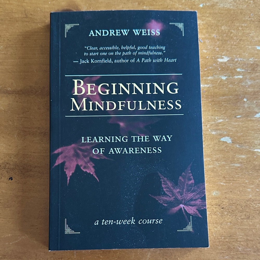 Beginning Mindfulness Book - Learning the Way of Awareness